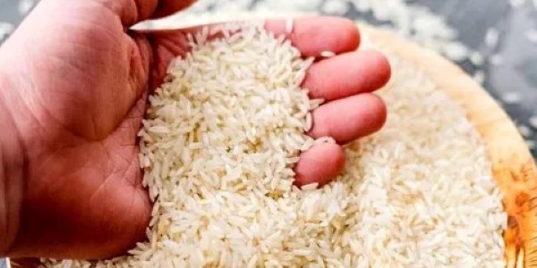 تصویر 1 از قیمت خرید برنج چمپای جنوب + فروش ویژه